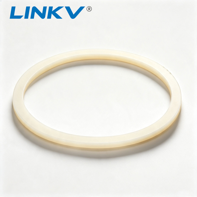High Performance PTFE Gasket for Flange & Valve Sealing