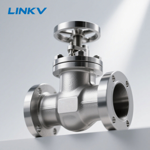 Stainless Steel Gate Valve 600 for High Pressure Industrial Oil and Gas