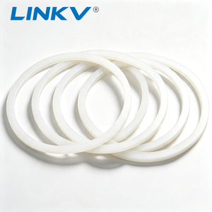 High Performance PTFE Gasket for Flange & Valve Sealing