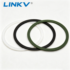 High Performance PTFE Gasket for Flange & Valve Sealing