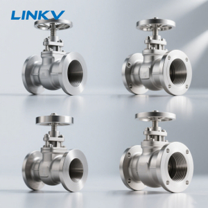 Stainless Steel Gate Valve 600 for High Pressure Industrial Oil and Gas