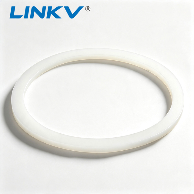 High Performance PTFE Gasket for Flange & Valve Sealing