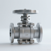 Stainless Steel Flanged Ball Valve with ISO 5211 Actuator Connector for Automation